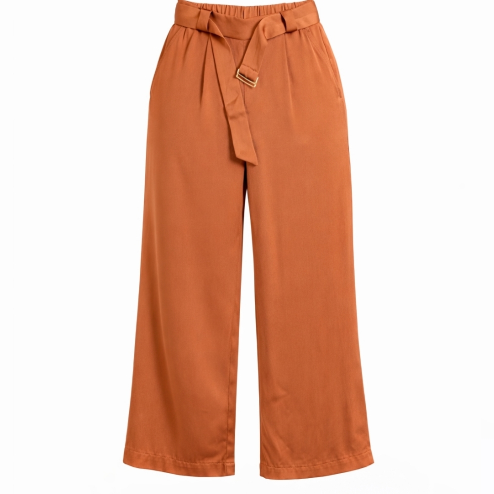 Rachel Zoe Silky Wide-Leg Pants – Burnt Orange – Size Small